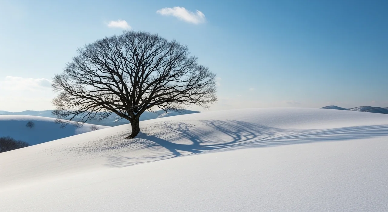 3. 홋카이도 (Hokkaido) - 대자연의 웅장함과 사계절의 매력